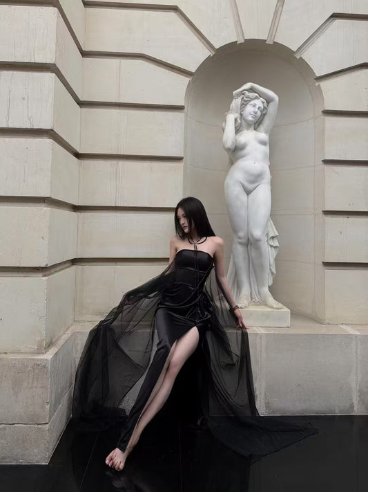 CROW CREW | Sheer Veil Strapless Dress (Black)