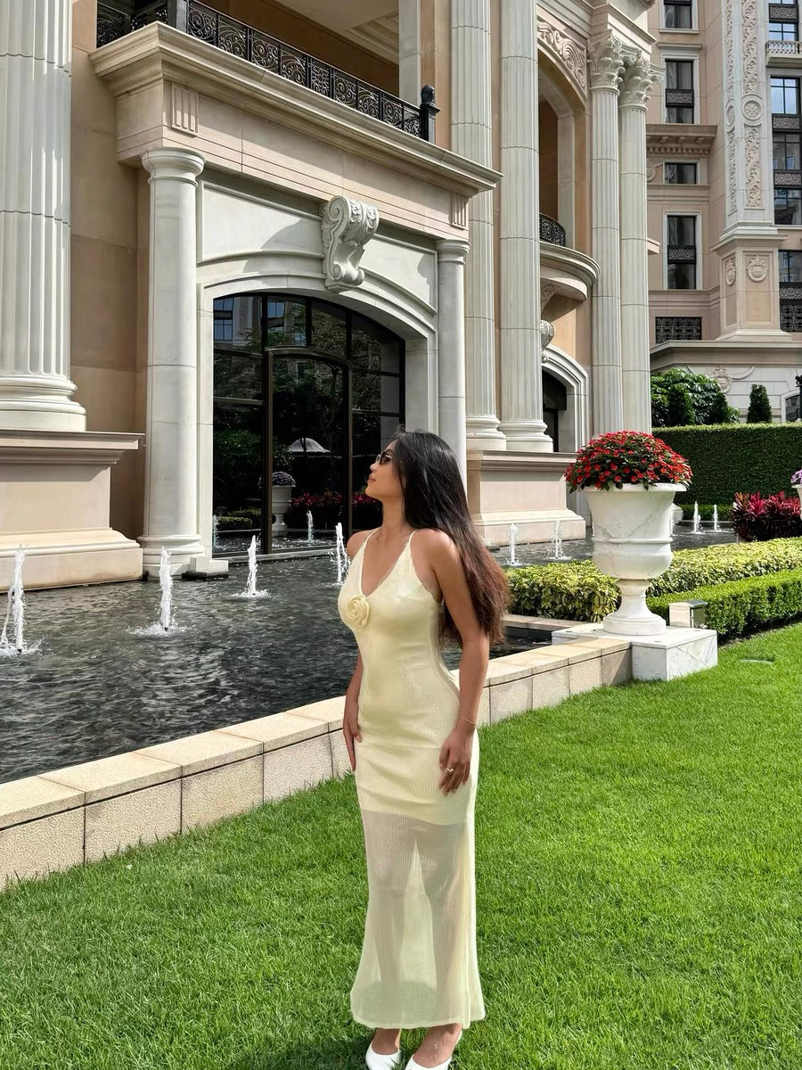 XENASERA | Sequined Maxi Dress (Yellow)