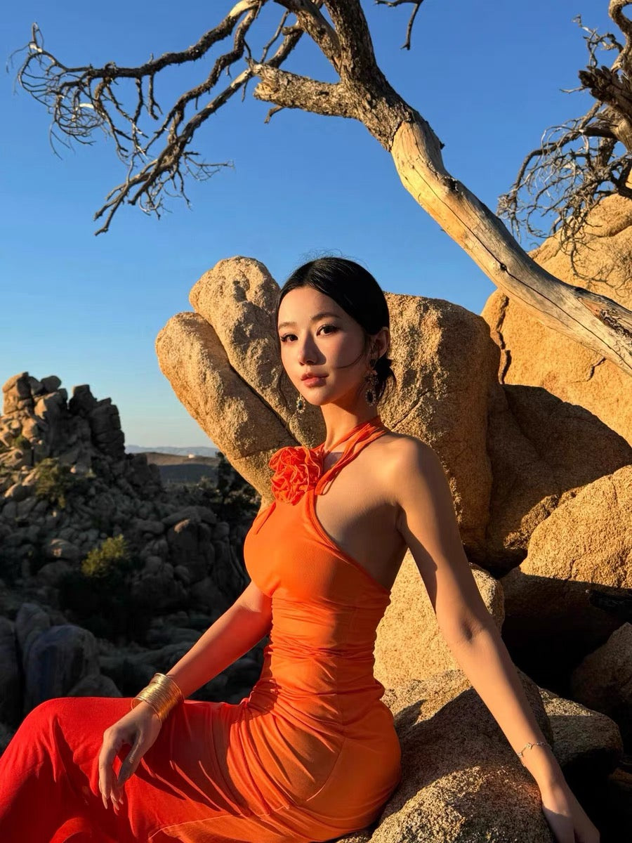 XENASERA | Ombre Halter Neck Backless Dress (Orange)
