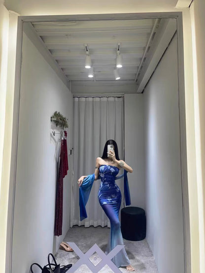 XENASERA | Blue and White Porcelain Print Strapless Mesh Dress (with Scarf)