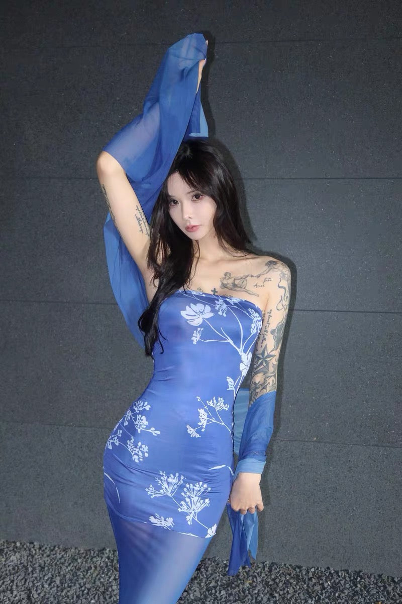 XENASERA | Blue and White Porcelain Print Strapless Mesh Dress (with Scarf)